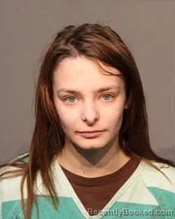 Booking photo from Polk County, Iowa