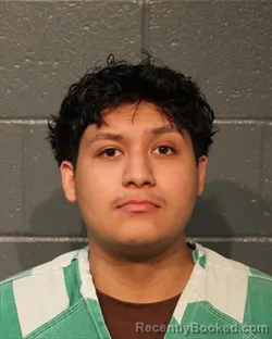 Mugshot of FIDENCIO VACA OCHOA