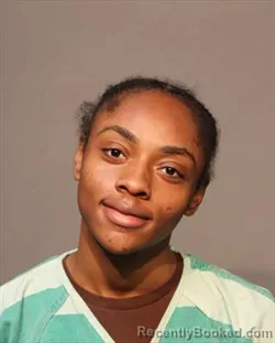 Mugshot of BREANNA LUCILLE MOZEE booked in Polk County, Iowa on March 13, 2026