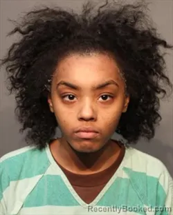 Mugshot of JA NIAH LEONA WILLIAMS