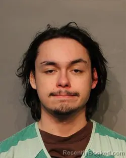 Mugshot of MICHAEL ROBERT LANGE