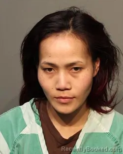 Mugshot of ANN WEE booked in Polk County, Iowa on March 9, 2026