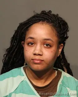 Mugshot of ELAYSHE JOCELYNN FIELDS booked in Polk County, Iowa on March 10, 2026