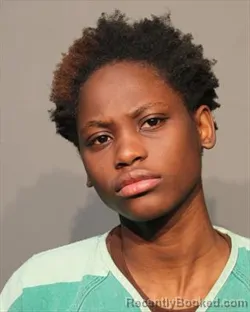 Mugshot of DAADOM SINKGRAVEN booked in Polk County, Iowa on March 13, 2026