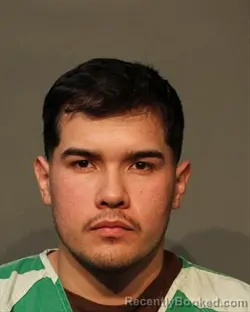 Mugshot of JOSE CASTORENA