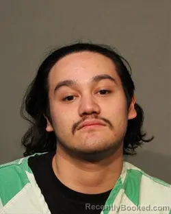 Mugshot of LEVI RIVAS