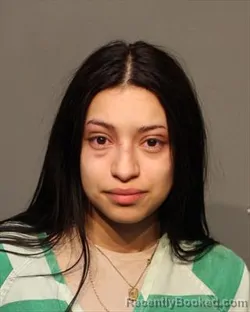 Mugshot of JULISSA OLIVAS