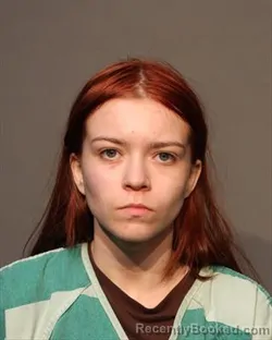 Mugshot of SUSANNA LAUREN TORRES