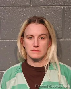 Mugshot of JORDAN LYN MEREDITH