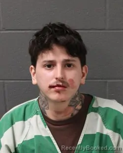 Mugshot of GABRIEL LOGAN RIOS