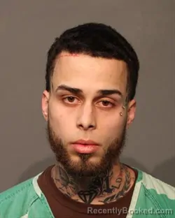 Mugshot of KEVIN JOEL ALFONZO RIVERA