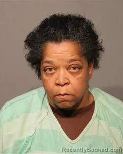 Mugshot of KIMBERLY ANN HOLDER