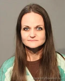Mugshot of HILLARI LYNN FEEZELL