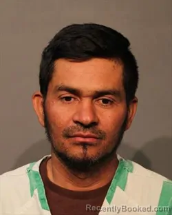 Mugshot of DARWIN FLORES