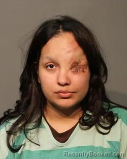 Mugshot of KATHERINE ELISE HENRIKSEN booked in Polk County, Iowa on April 4, 2026