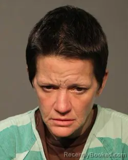Mugshot of JESSICA E STEPHENS booked in Polk County, Iowa on April 17, 2026