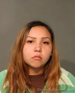 Booking photo from Polk County, Iowa