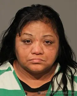 Mugshot of ELSA ARACELY CASTRO booked in Polk County, Iowa on June 27, 2026