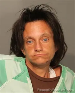Mugshot of ANGELICA DAVIS booked in Polk County, Iowa on July 2, 2026