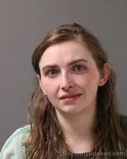 Mugshot of SARINA JO WOOLMAN booked in Polk County, Iowa on July 4, 2026