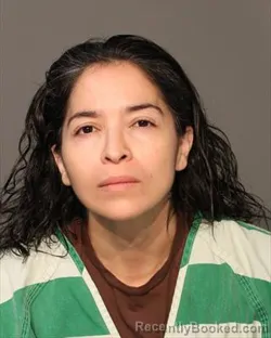 Mugshot of ANA KAREN ZUVIRI CHAVEZ booked in Polk County, Iowa on July 12, 2026