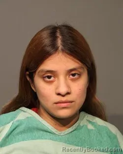 Mugshot of ZUA NATALIA HERNANDEZ booked in Polk County, Iowa on July 11, 2026