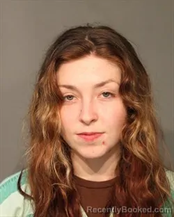 Mugshot of MAGGIE DAWN RENEE MILLER booked in Polk County, Iowa on July 11, 2026