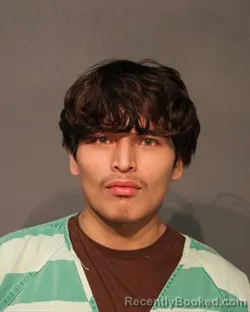 Booking photo from Polk County, Iowa