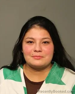 Mugshot of Alizaya My Love Stubben booked in Polk County, Iowa on August 17, 2026
