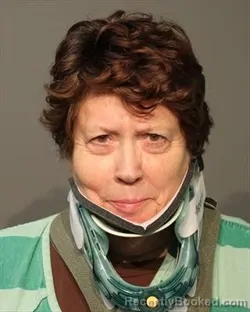 Mugshot of Dianne Michele Downing booked in Polk County, Iowa on September 3, 2026