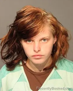 Booking photo from Polk County, Iowa