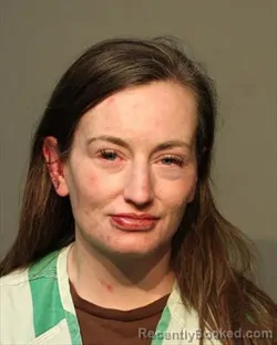 Mugshot of DANIELLE MARIE ALDRIDGE