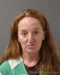 Mugshot of Tosha Lynn Reed booked in Polk County, Iowa on September 8, 2026