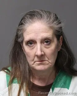Mugshot of RENEE ANN LARSON
