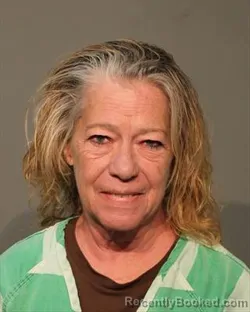 Mugshot of RENEE LYNNETTE SAWYER booked in Polk County, Iowa on June 29, 2026