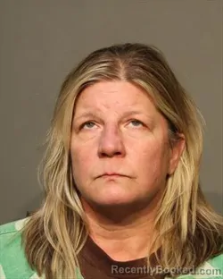 Mugshot of BRANDI MARIE WILSON