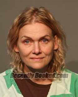Booking photo from Polk County, Iowa