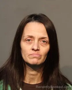 Mugshot of DANIELLE JEANETTE FAZIO