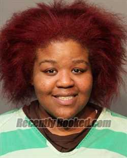 Booking photo from Polk County, Iowa