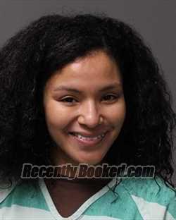 Booking photo from Polk County, Iowa