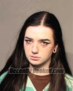 Booking photo from Polk County, Iowa