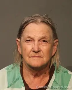 Mugshot of DENISE LOUELLA ARMEL booked in Polk County, Iowa on June 29, 2026
