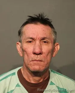 Mugshot of HAI HO TRAN