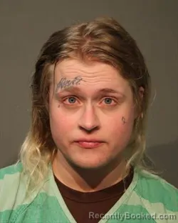 Mugshot of BRITTANY ELIZABETH PURSCELL booked in Polk County, Iowa on May 12, 2026