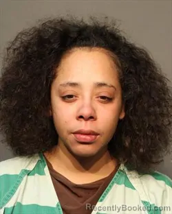 Mugshot of ALISHA RENEE JOHNSON