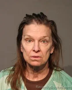 Mugshot of MARY JO STREET booked in Polk County, Iowa on July 8, 2026