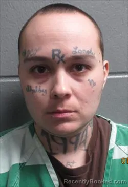 Mugshot of CHELSEA BETH LACONA VANDYKE