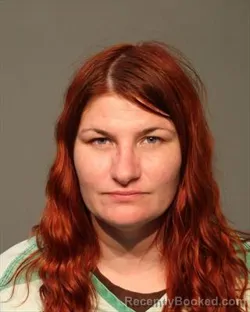 Mugshot of SARA LEEANN DUNCAN booked in Polk County, Iowa on June 20, 2026
