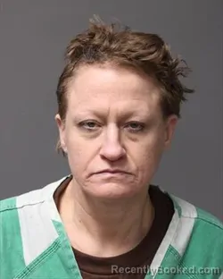 Booking photo from Polk County, Iowa