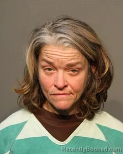 Mugshot of SUSAN RENEE ROMINE